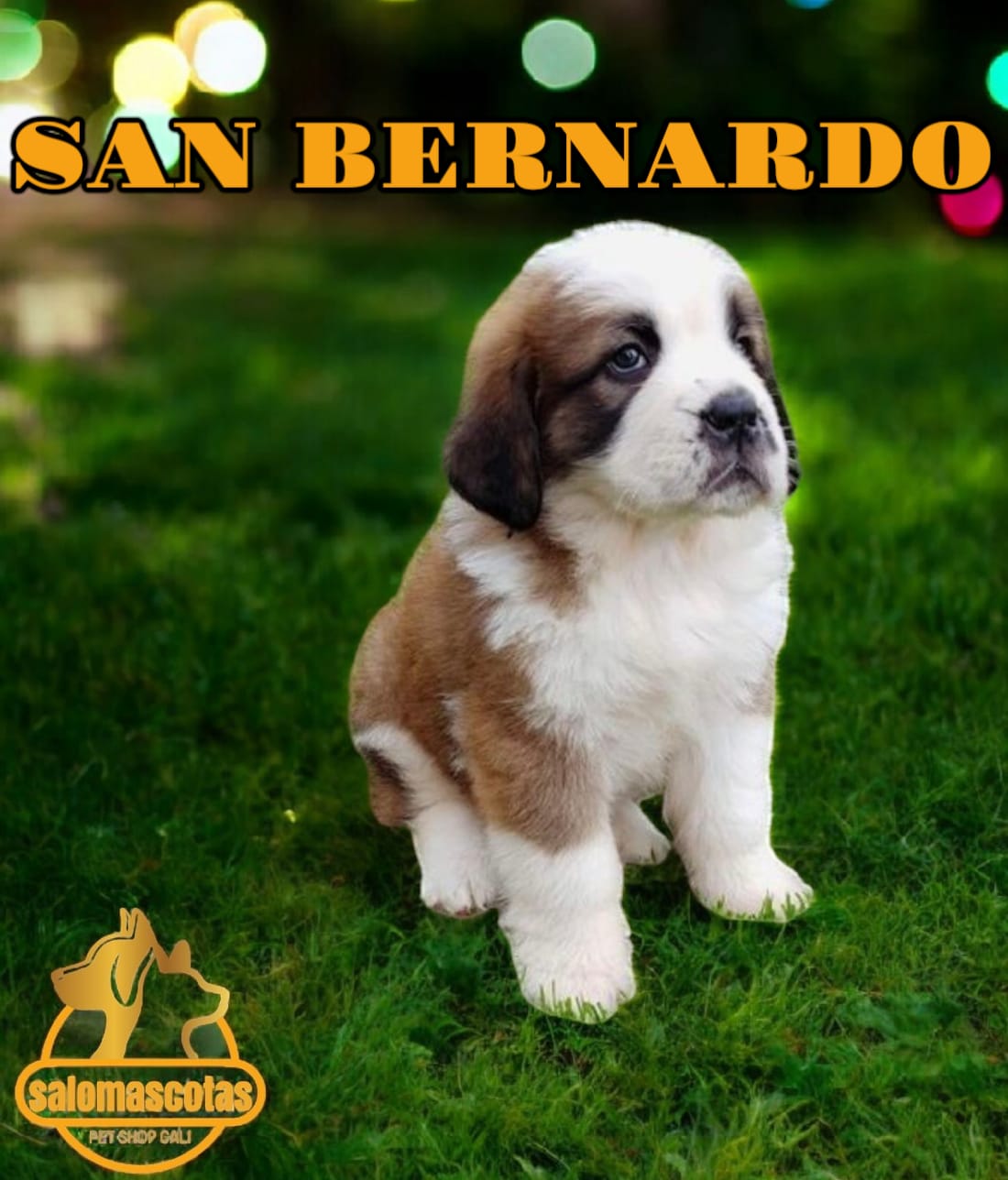 San Bernardo