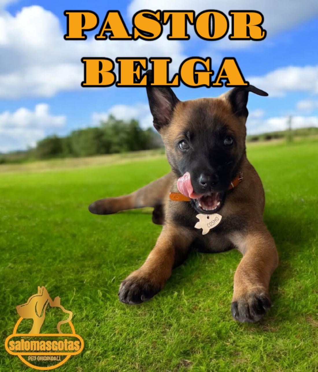 Pastor Belga
